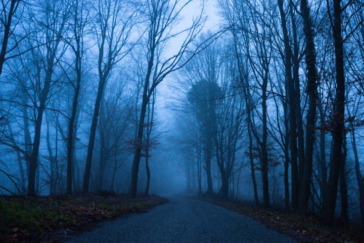 Održavanje grada — fotografija 18