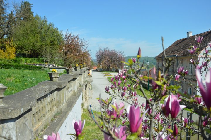 Održavanje grada — fotografija 9