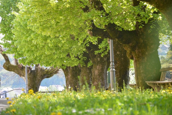 Održavanje grada — fotografija 12