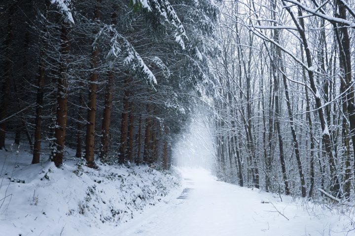 Održavanje grada — fotografija 14