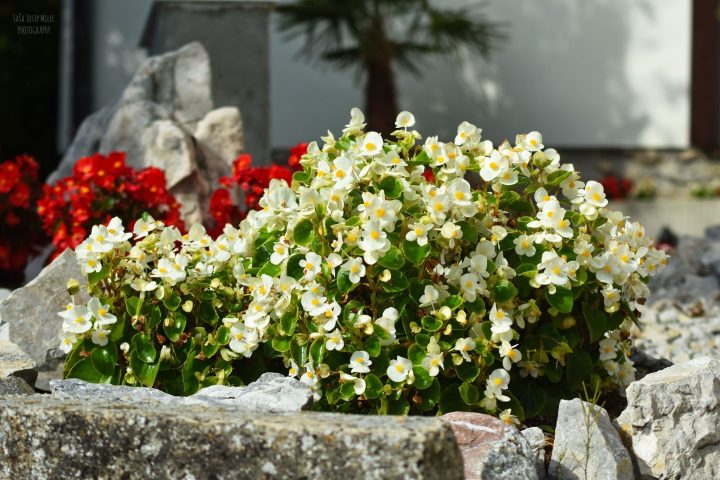 Održavanje grada — fotografija 3