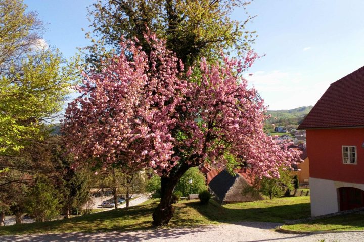 Održavanje grada — fotografija 10