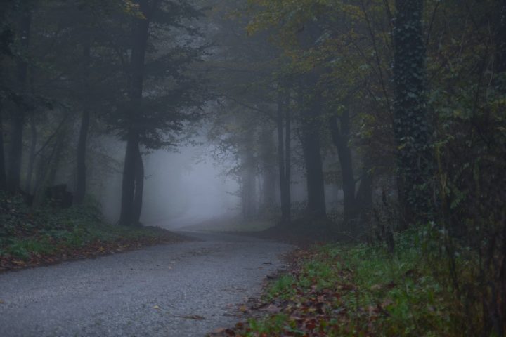 Održavanje grada — fotografija 16