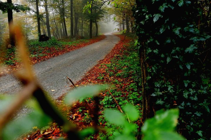Održavanje grada — fotografija 17