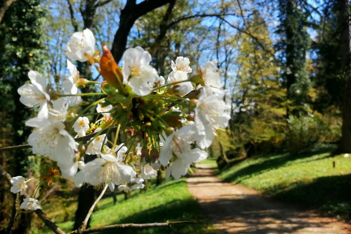 Održavanje grada — fotografija 6