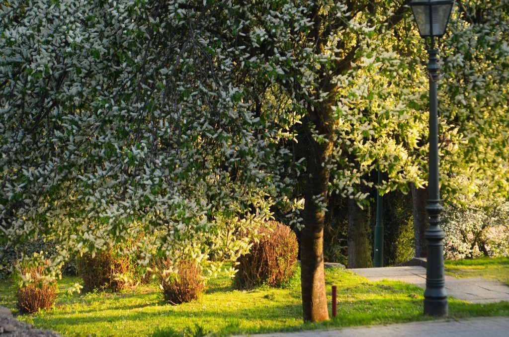 Uređena zelena površina u Varaždinskim Toplicama