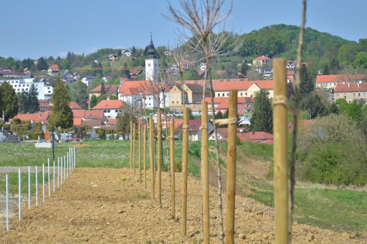 Pogrebne usluge — fotografija 3